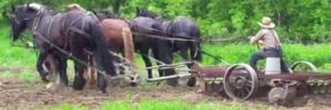 Die Geschichte der Gartenfräse