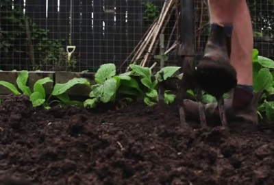 Beete Umgraben So Geht Es Richtig Gartenfrase Experte