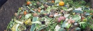Mit Kompost nachhaltig düngen